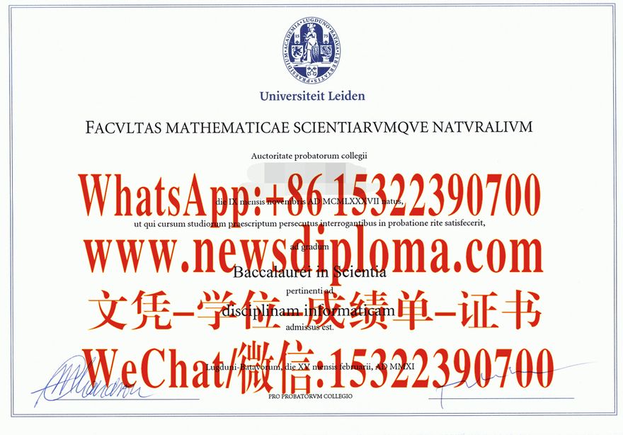 莱顿大学毕业证文凭原版哪里能办